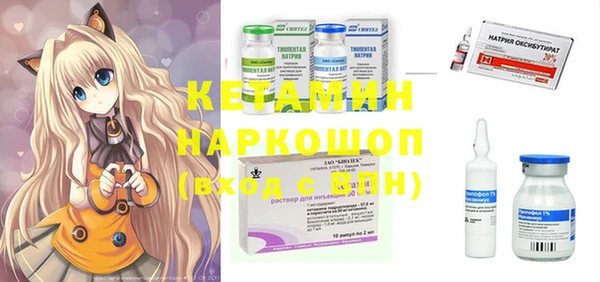 шишки Аркадак