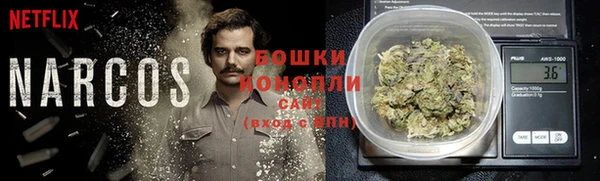 spice Арсеньев