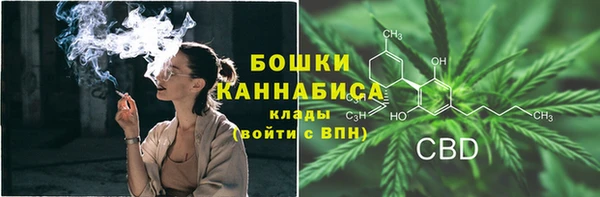 шишки Аркадак