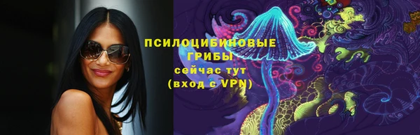 spice Арсеньев
