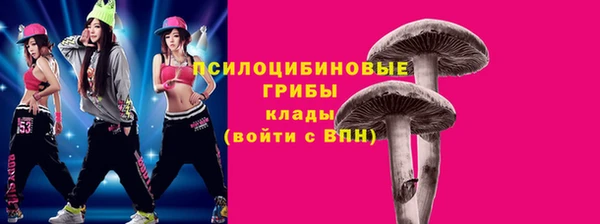шишки Аркадак