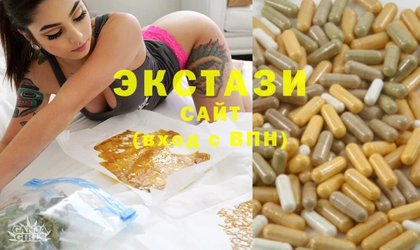 шишки Аркадак