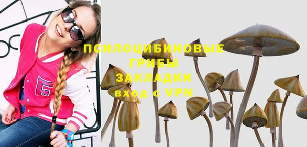 spice Арсеньев