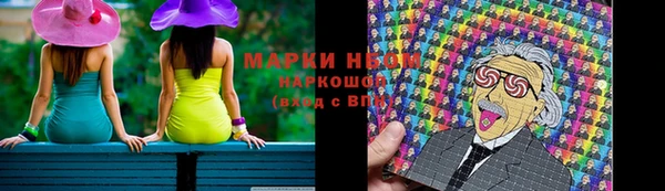 шишки Аркадак
